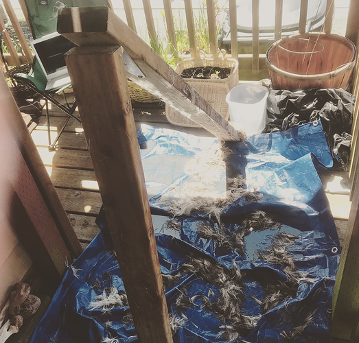 scraping%20beam%20setup