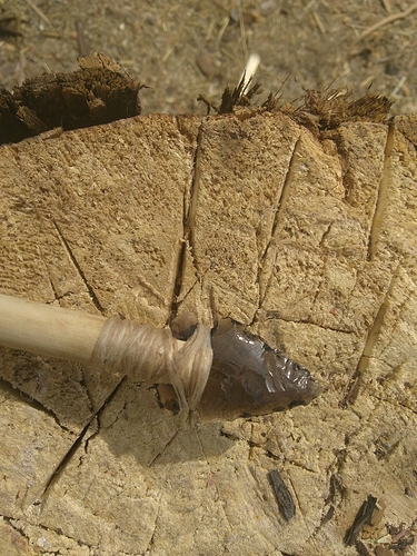 IMG_20180307_123626239