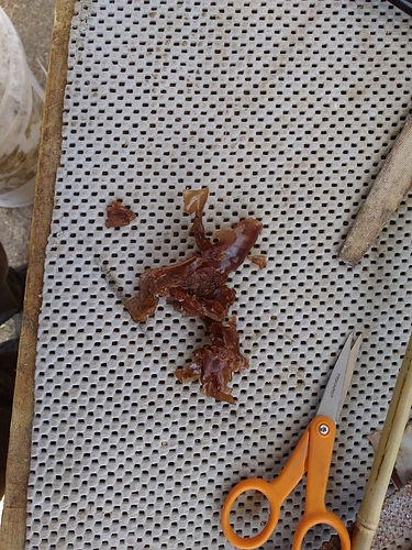 IMG_20180307_123329991